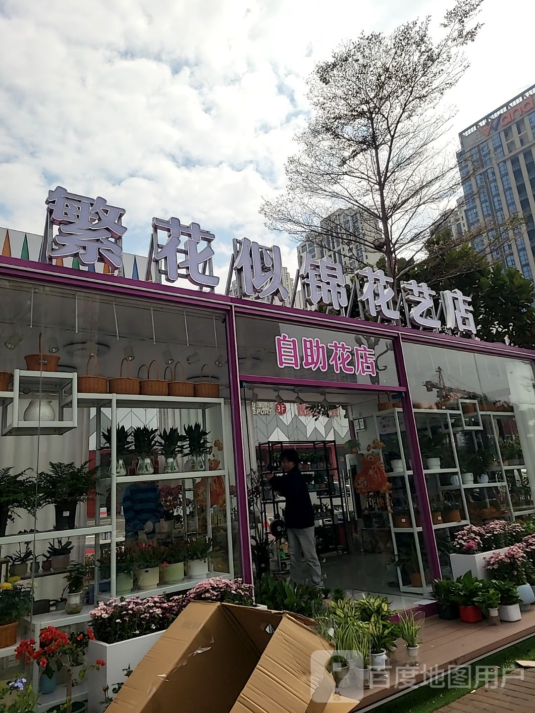 繁花似锦花艺店(万达广场江门台山店)