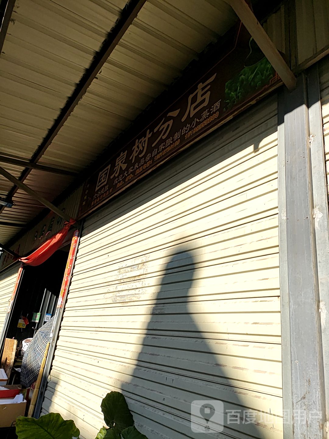 国泉树(分店)