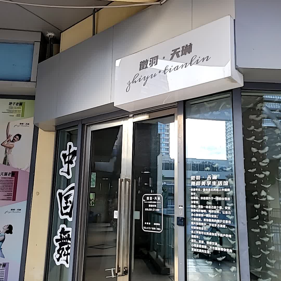 徽羽·天琳