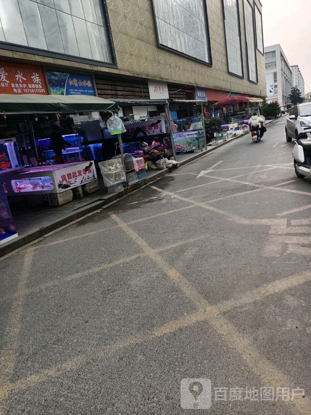 红富士水族(宏丰生活广场店)
