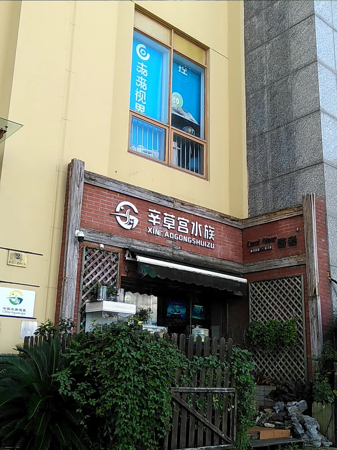 辛草宫水族(开元地中海广场店)