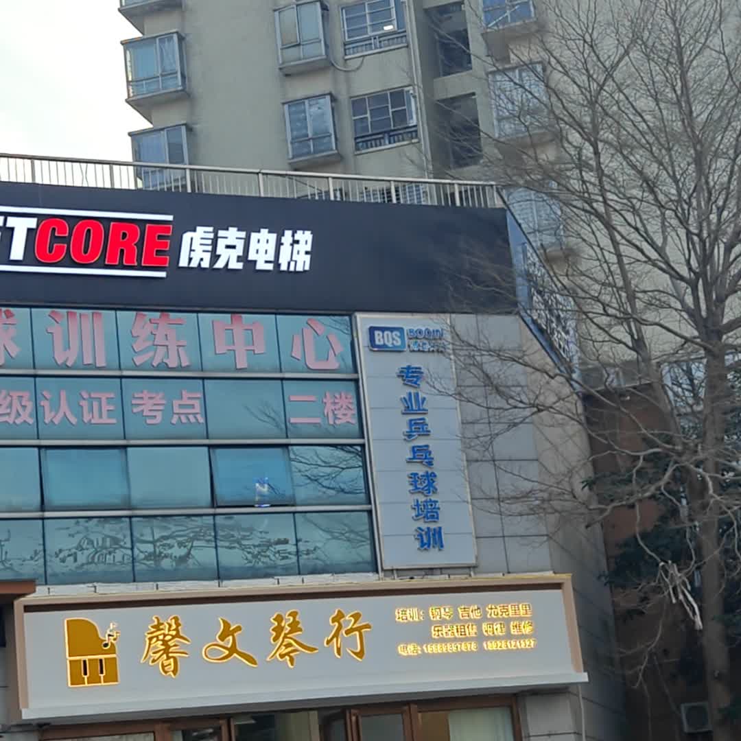 BQS专业乒乓球培训(朗晴轩百汇中心店)