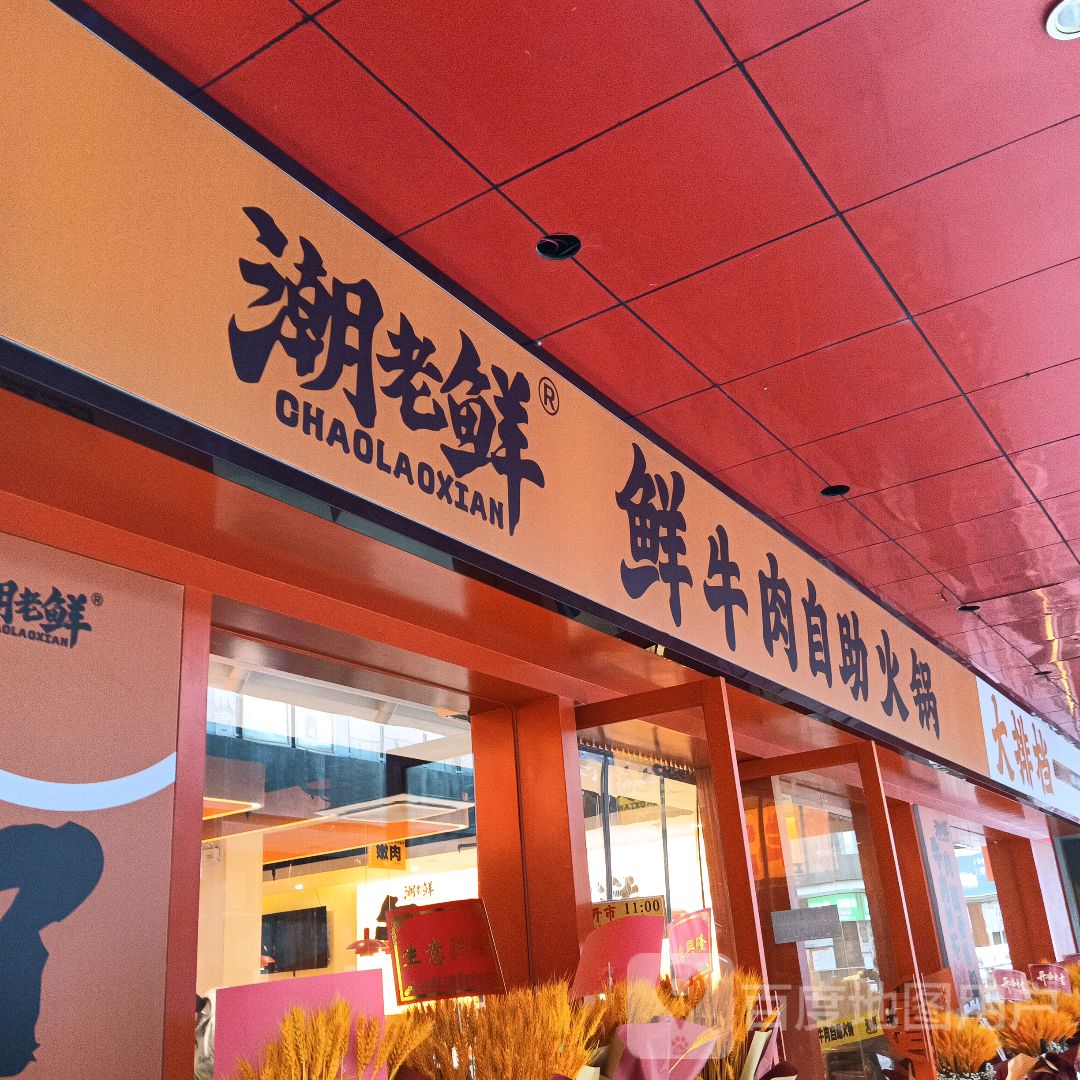 潮老鲜·自助火锅大排档(新西街店)