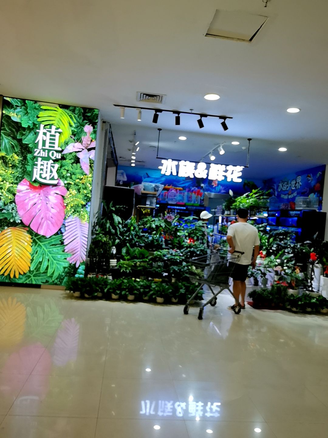 水族&鲜花(惠州大亚湾万达广场店)