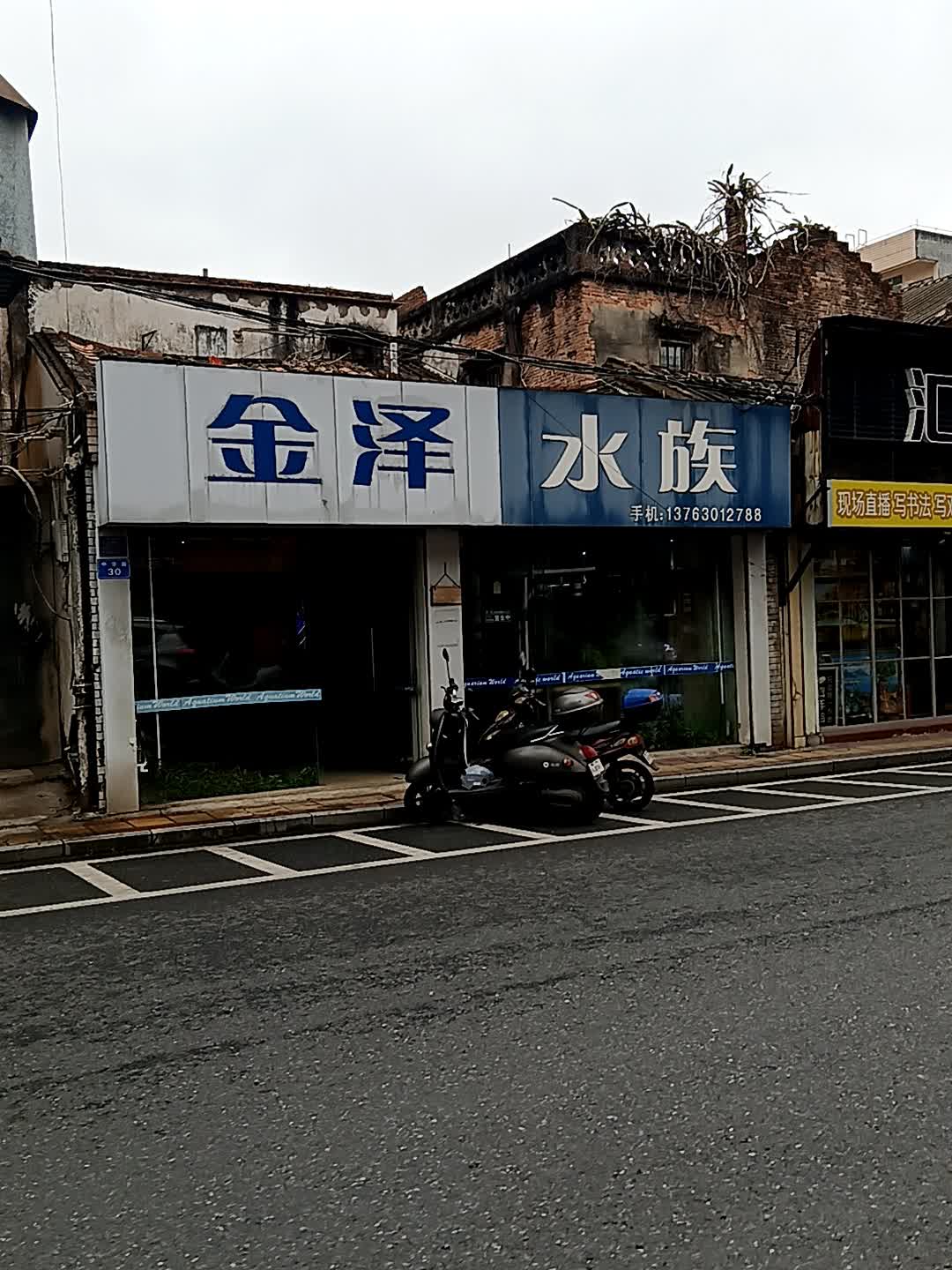金泽水族