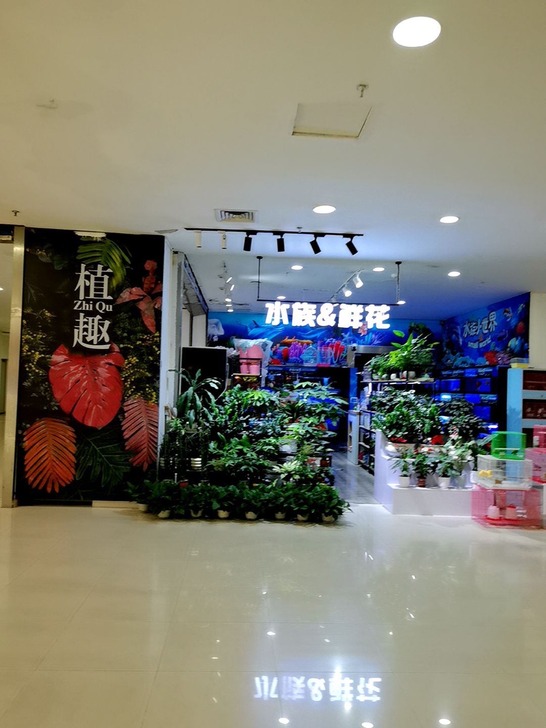 水族&鲜花(万达广场店)