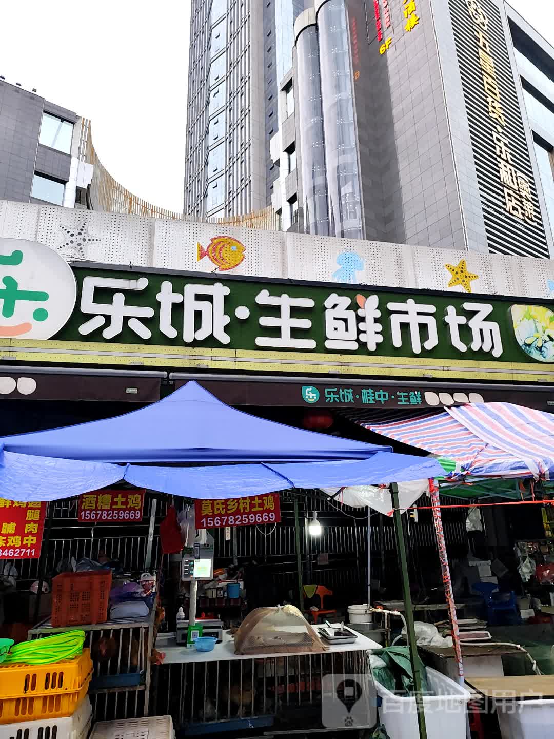 乐城桂中生鲜美食广场(城中店)