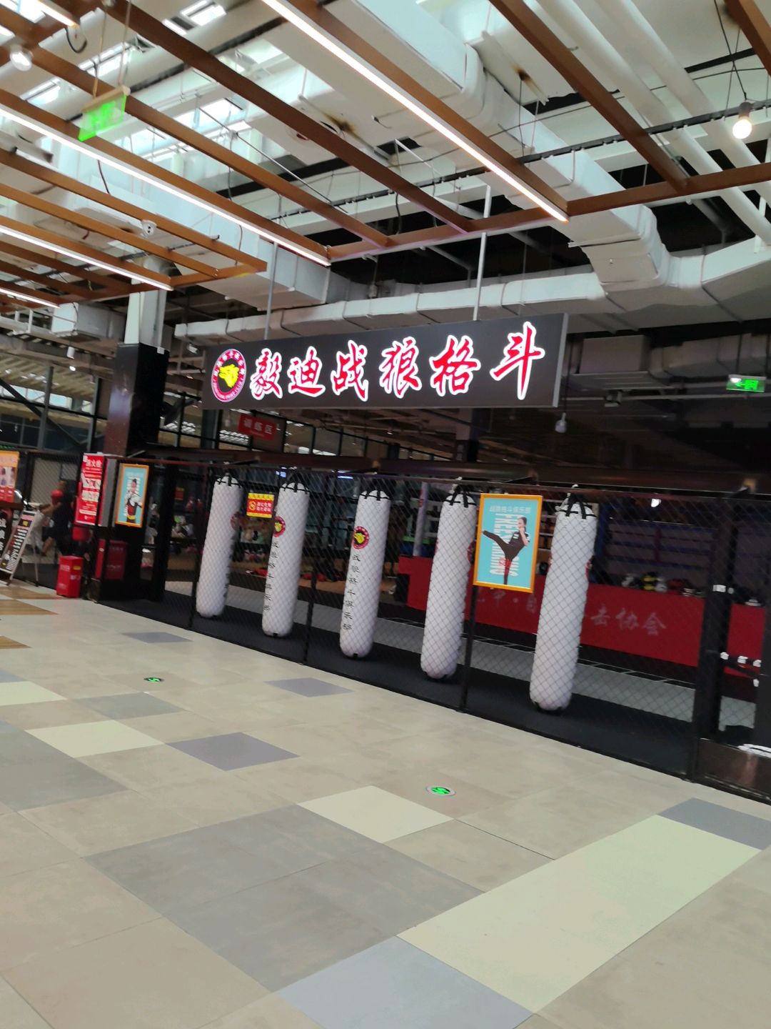 毅迪战狼格斗(王府井购物中心巴州店)