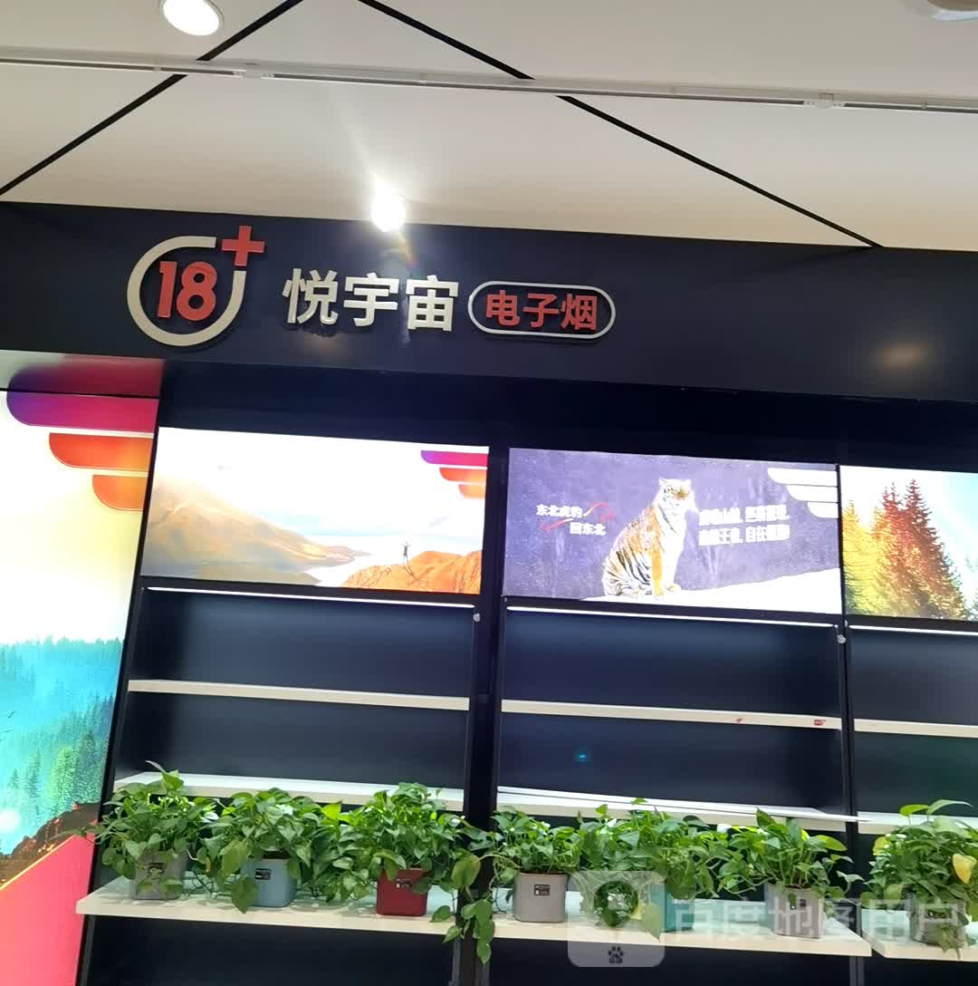 悦宇宙垫子烟(润洲城市广场店)