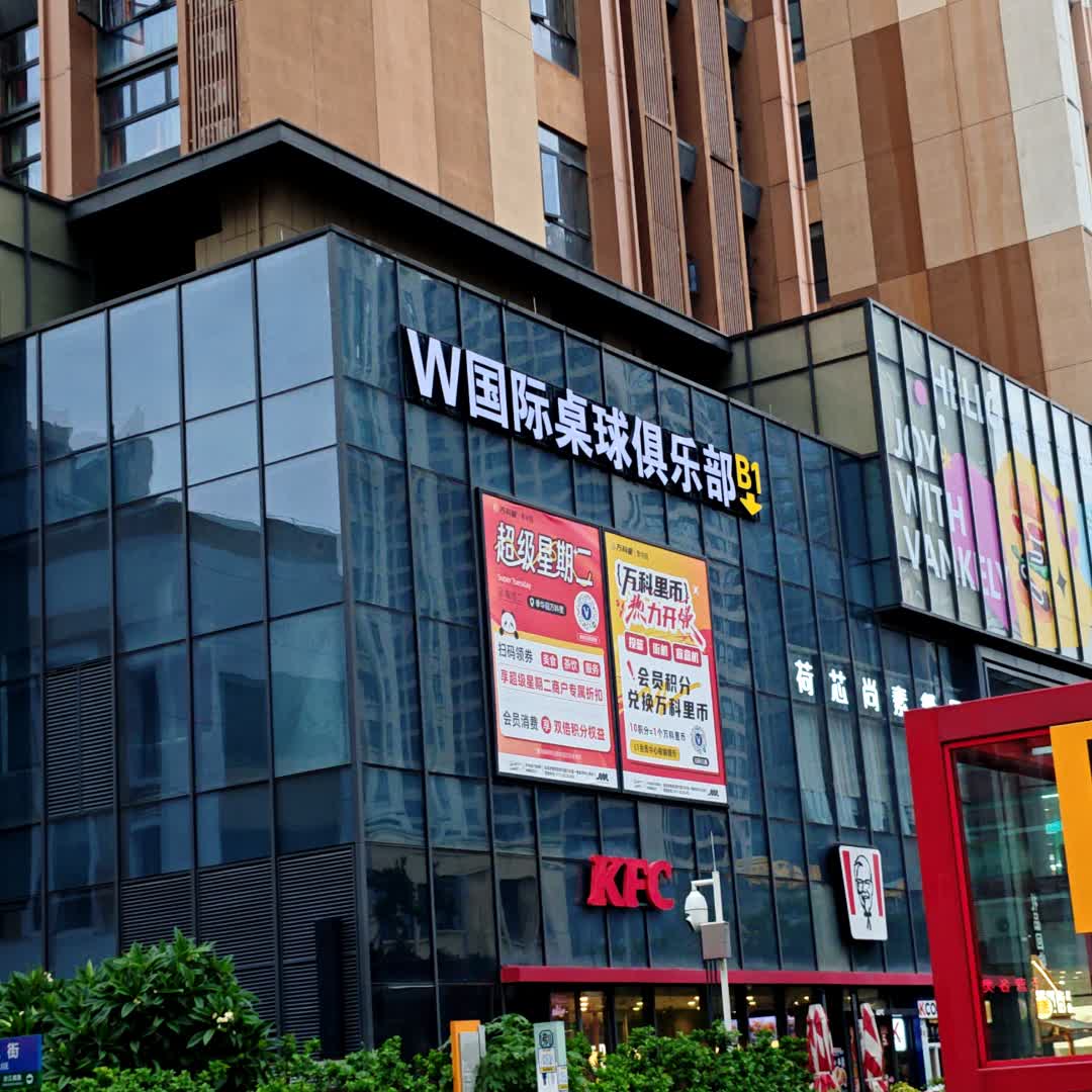W国际桌球俱乐部(季华园万科里店)