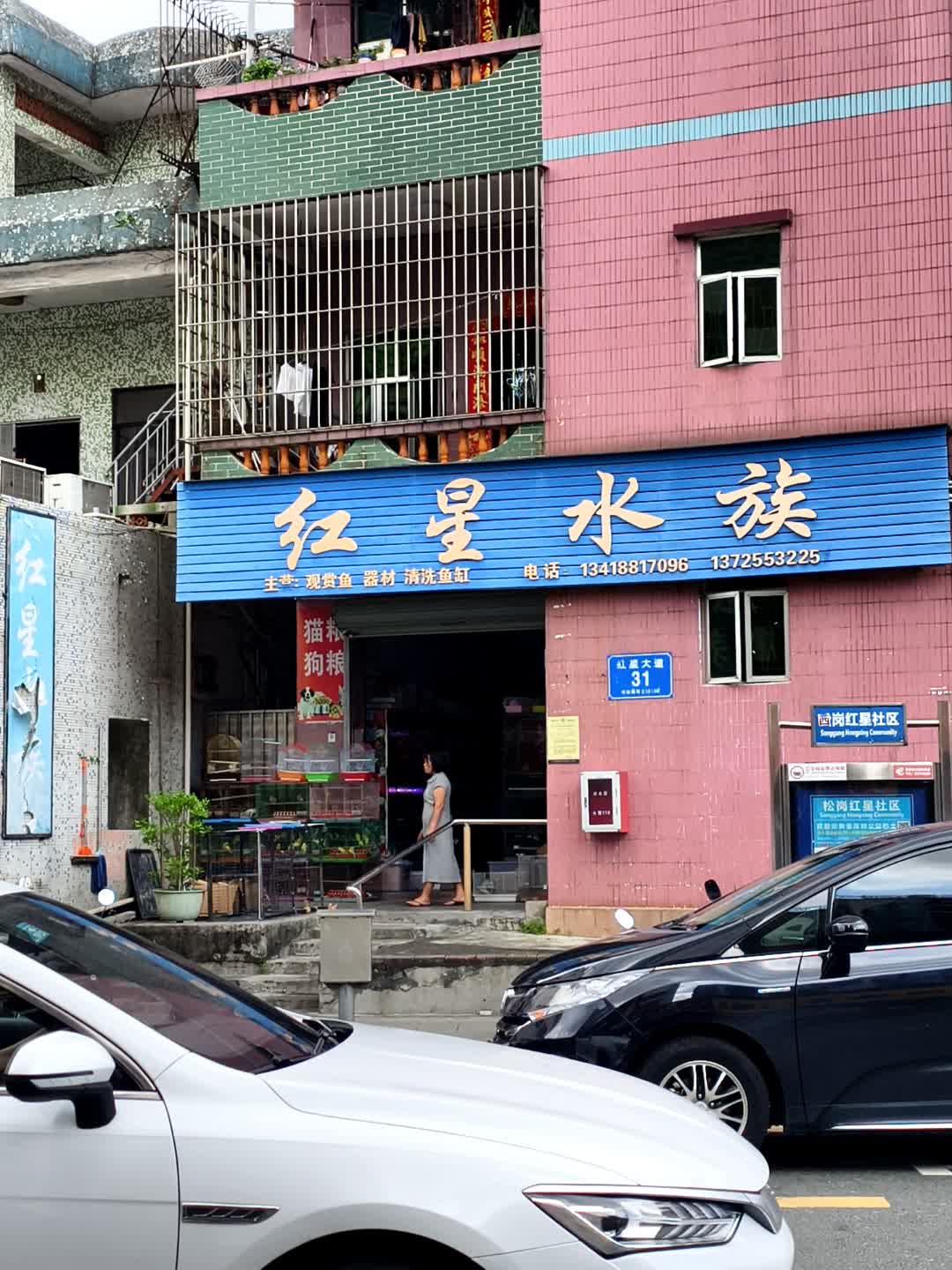 红星水族馆(红星大道店)