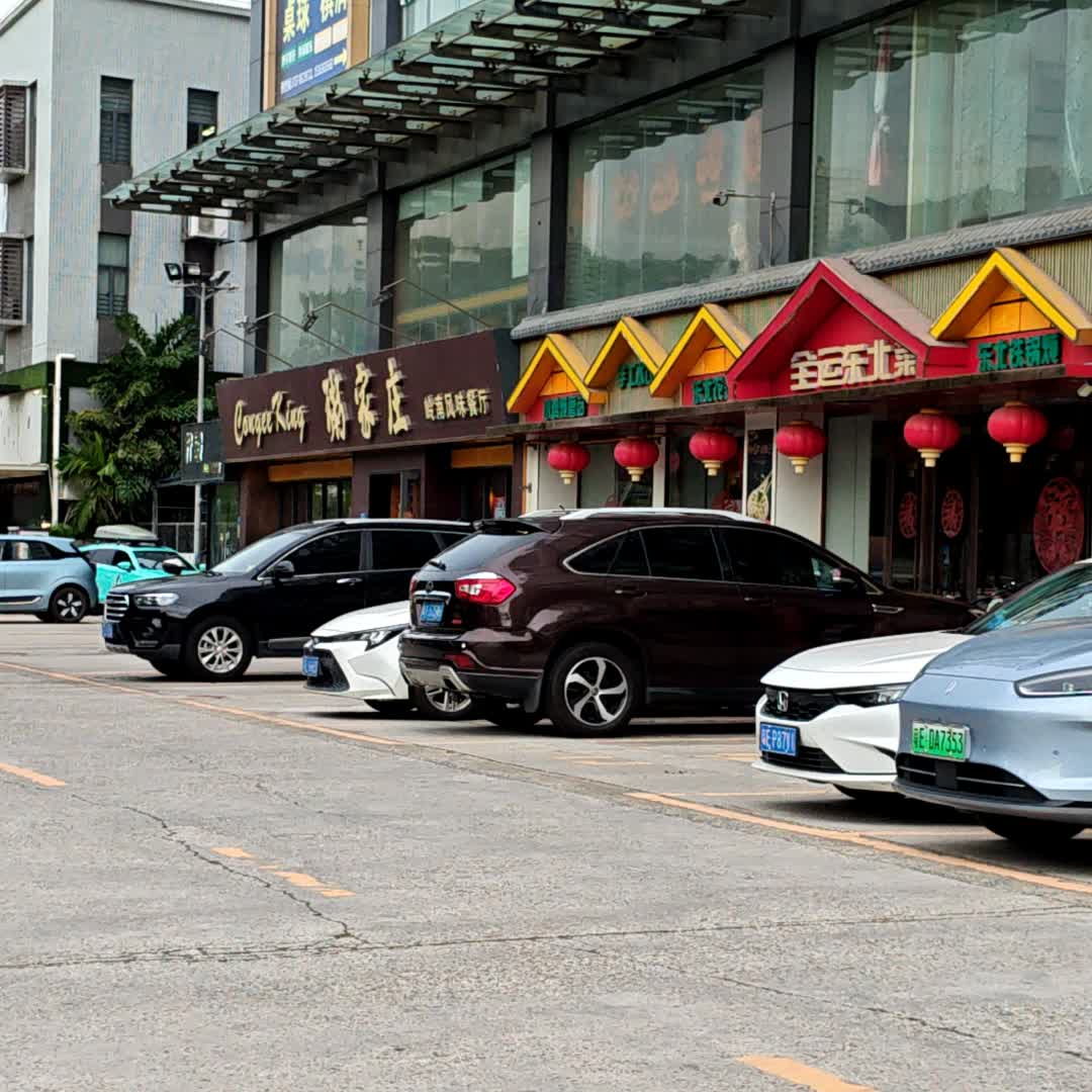 东北铁锅炖(太港城店)