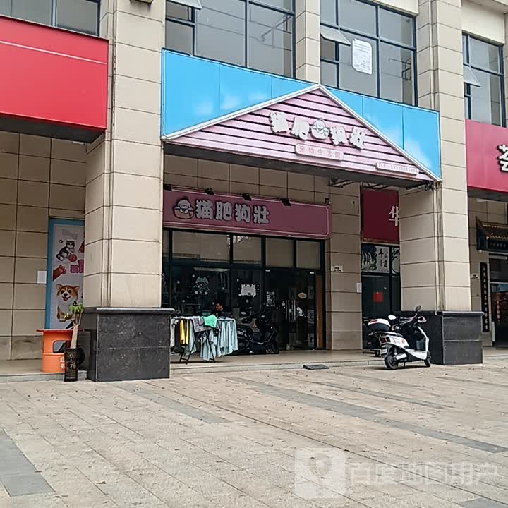 猫肥狗壮宠物生活馆(皇庭广场湛江店)