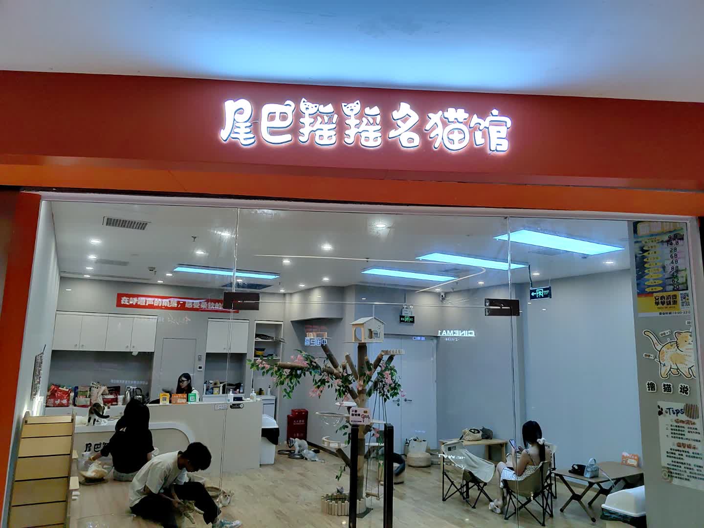 尾巴摇摇名猫馆(石歧万象汇店)