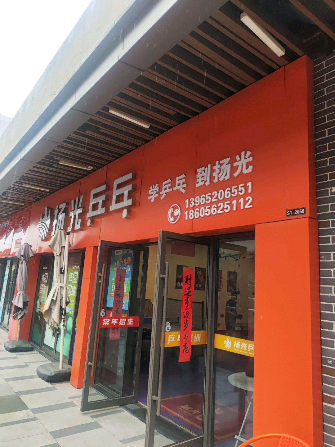 扬光乒乓