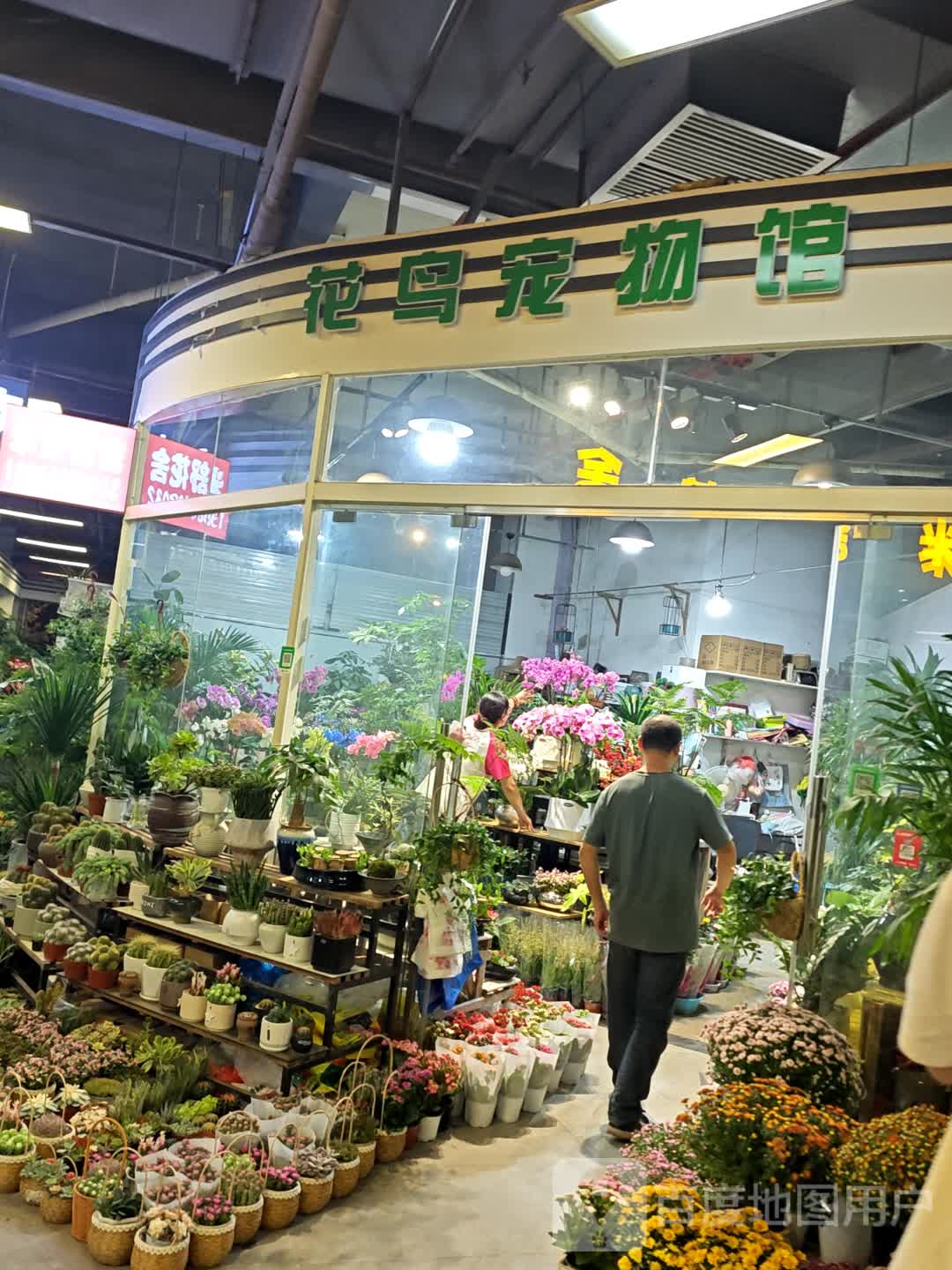 老王花鸟宠物馆(富邦世纪商业广场店)