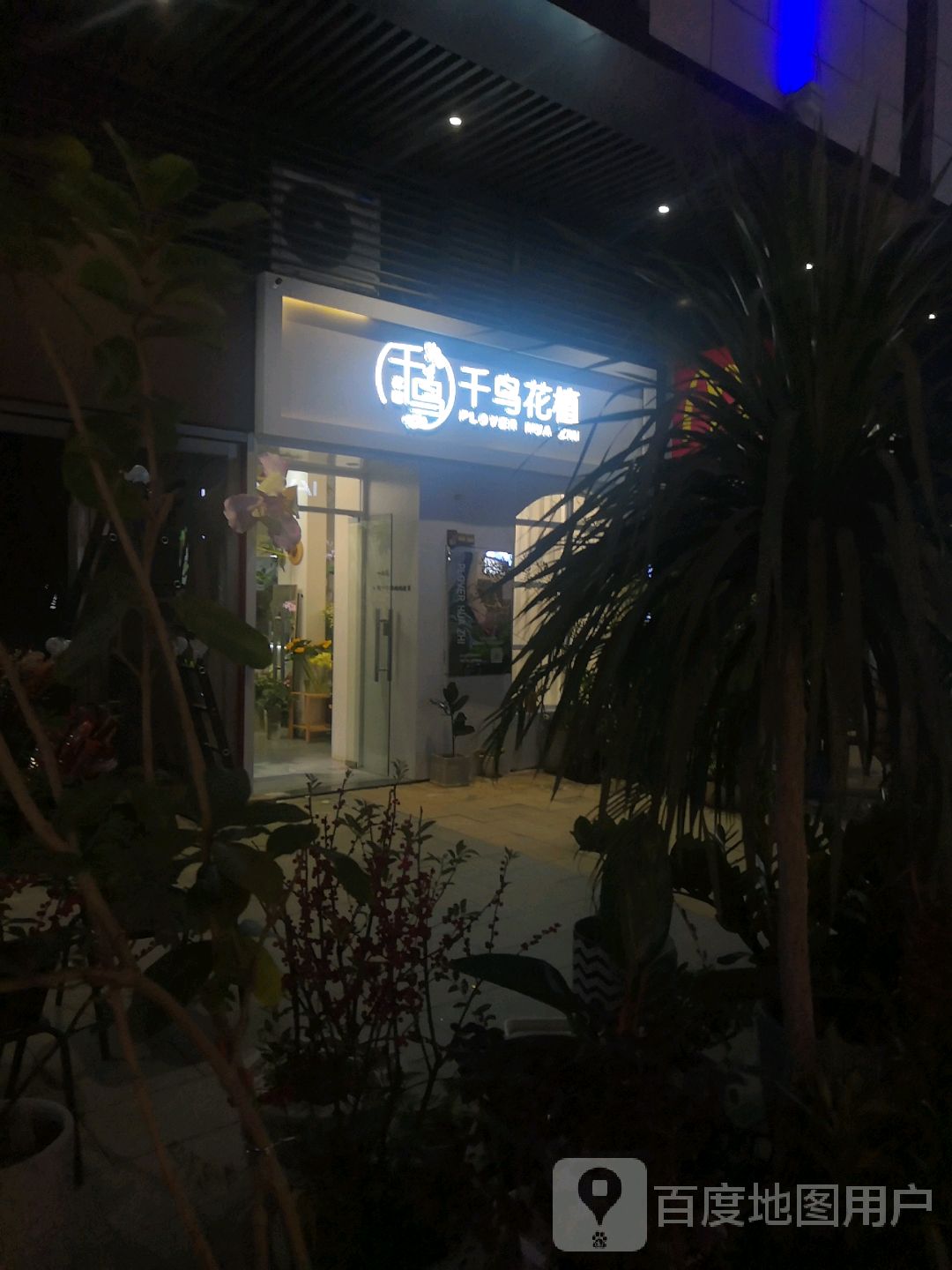 东汇城千鸟花植(茂悦东荟城店)