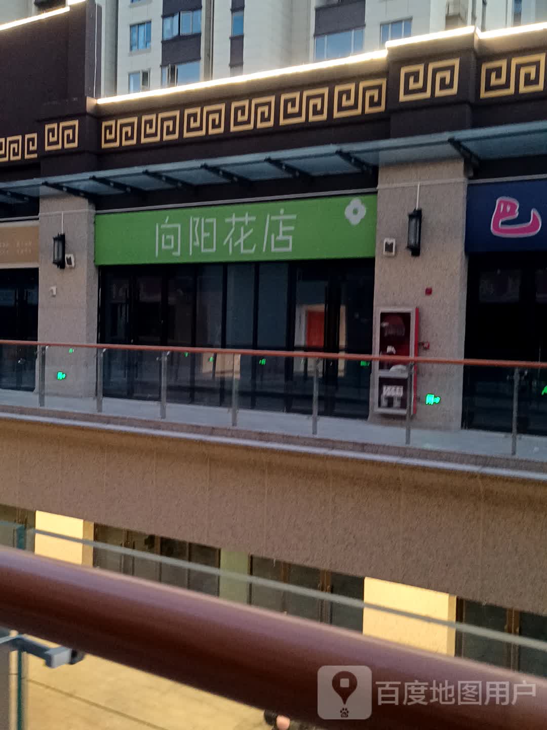向阳花店(寿春环球港店)