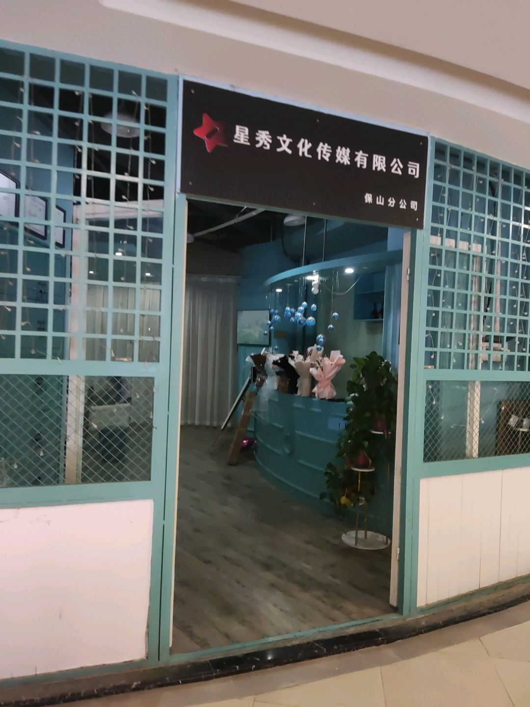 星秀文化传媒有限公司