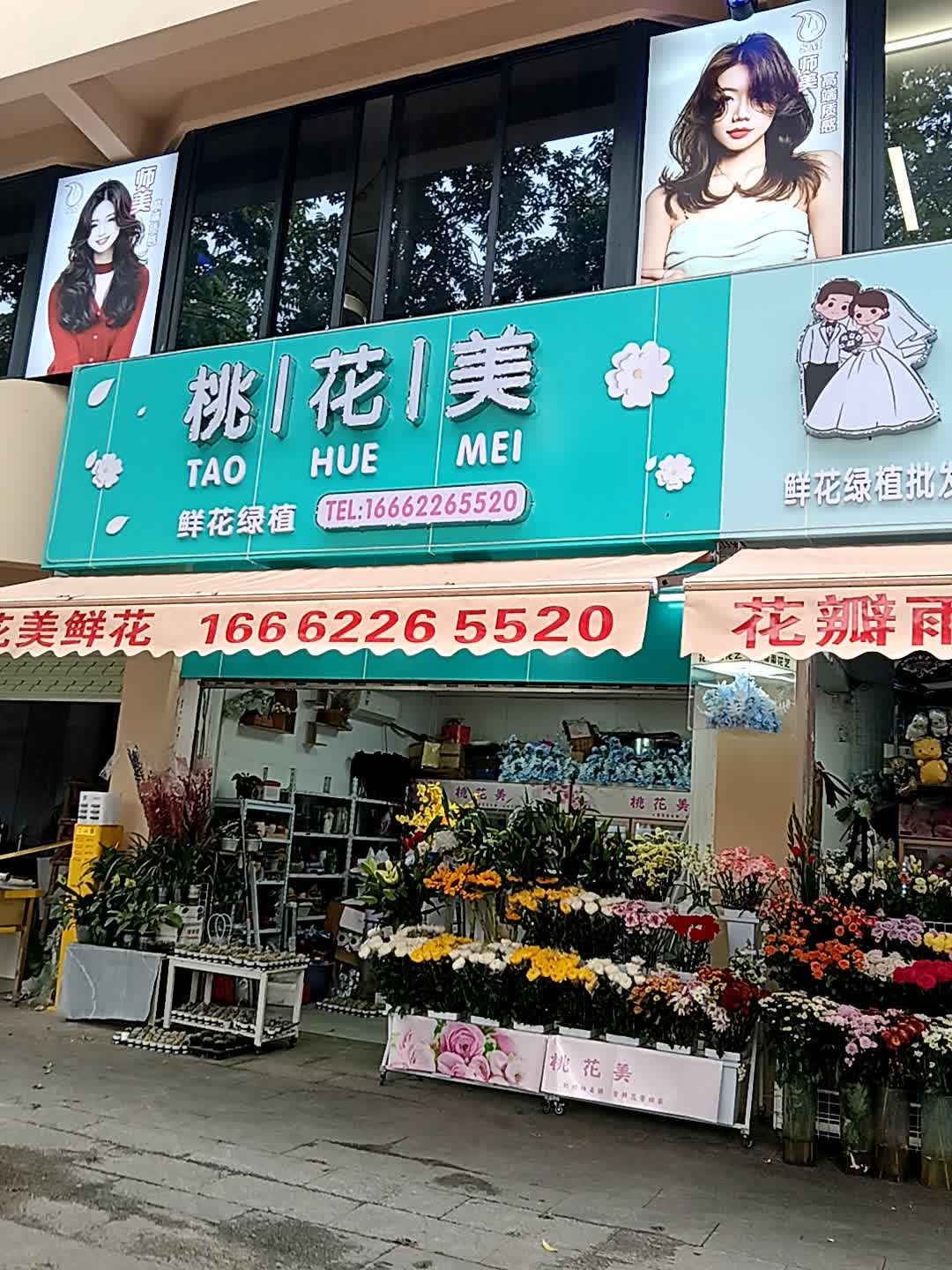 桃花美鲜花绿植