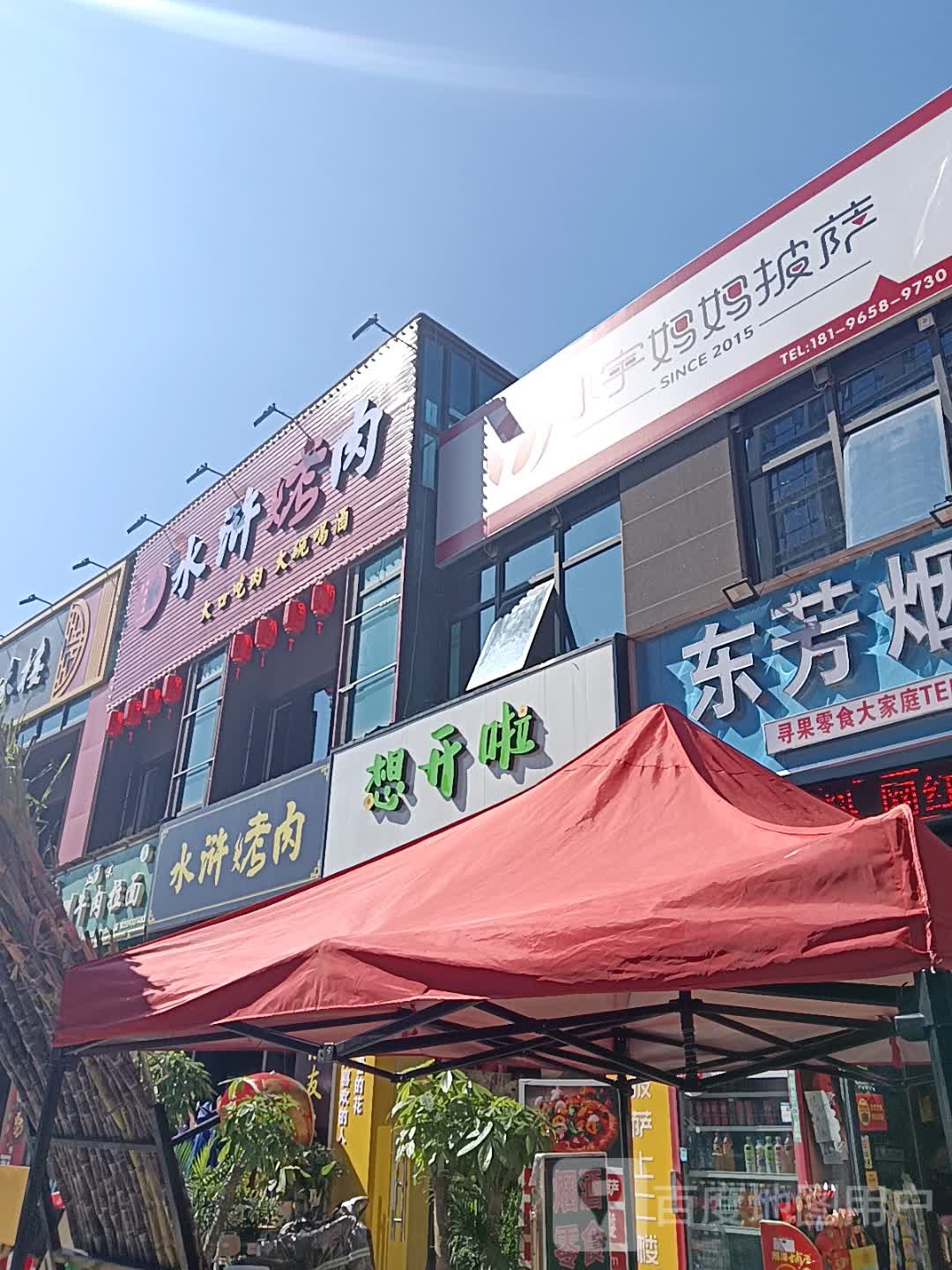 想开啦新华绿植(伟星万悦城店)