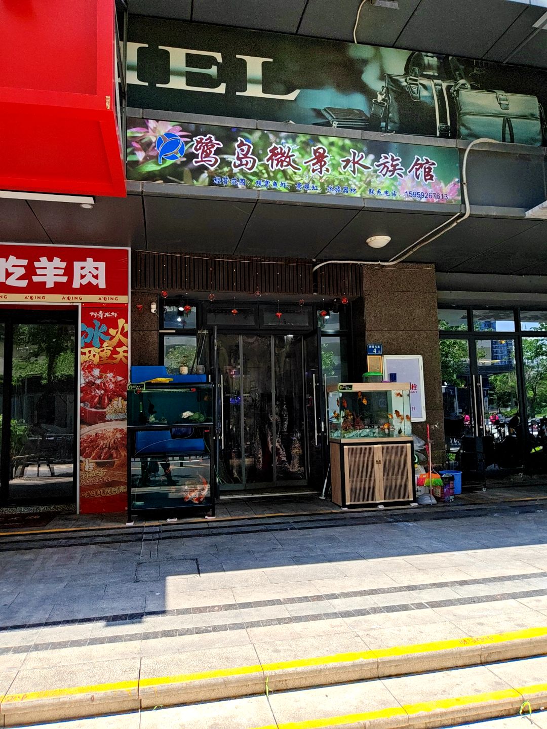 鹭岛微景水族馆(海投第一湾西区店)