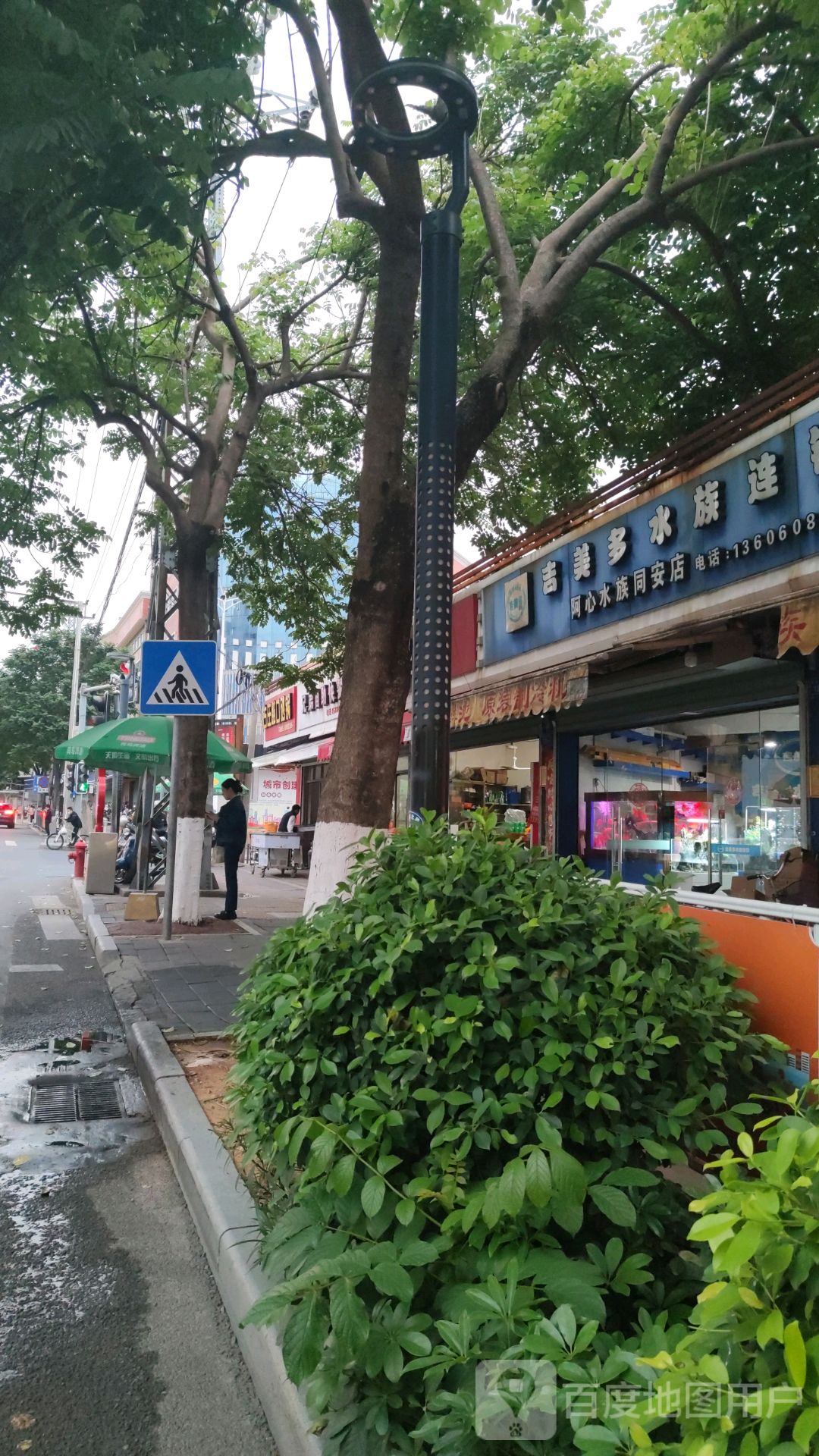 阿心水族(同安店)