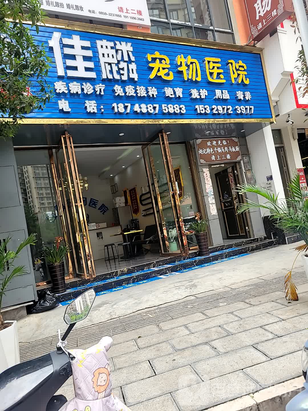 佳麟宠物医院