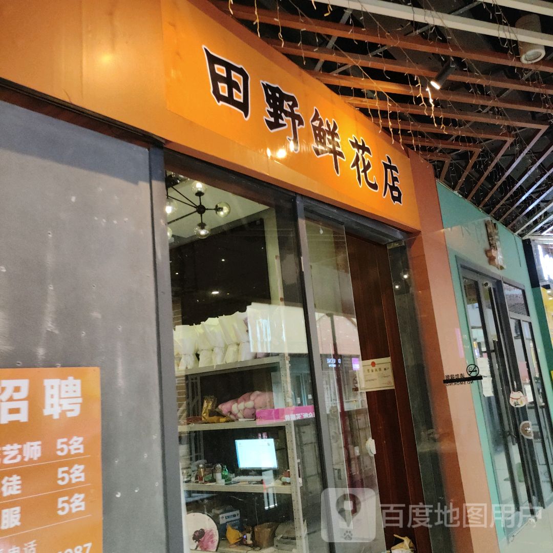 田野鲜花(万达广场湛江霞山店)