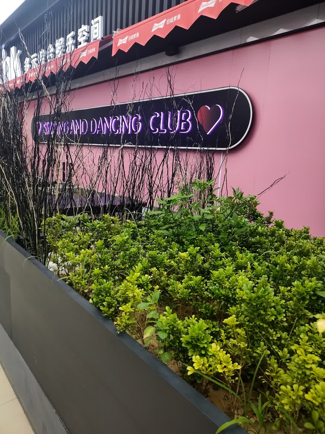 SINGING AND DANCING CLUB