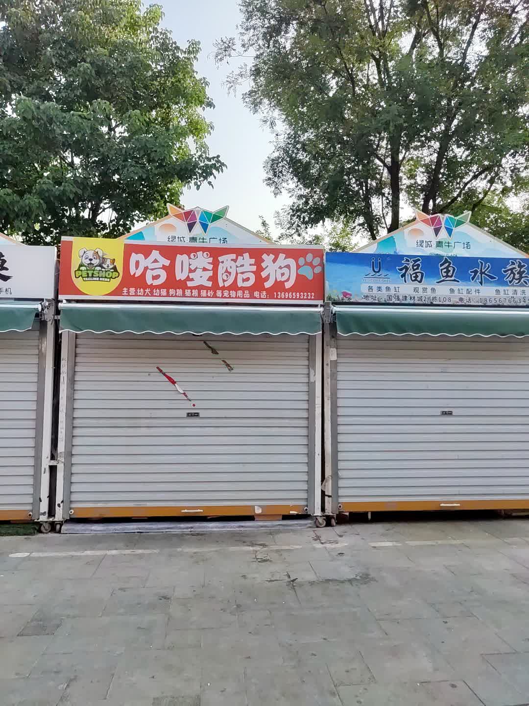 哈喽酷狗(绿城青牛广场店)