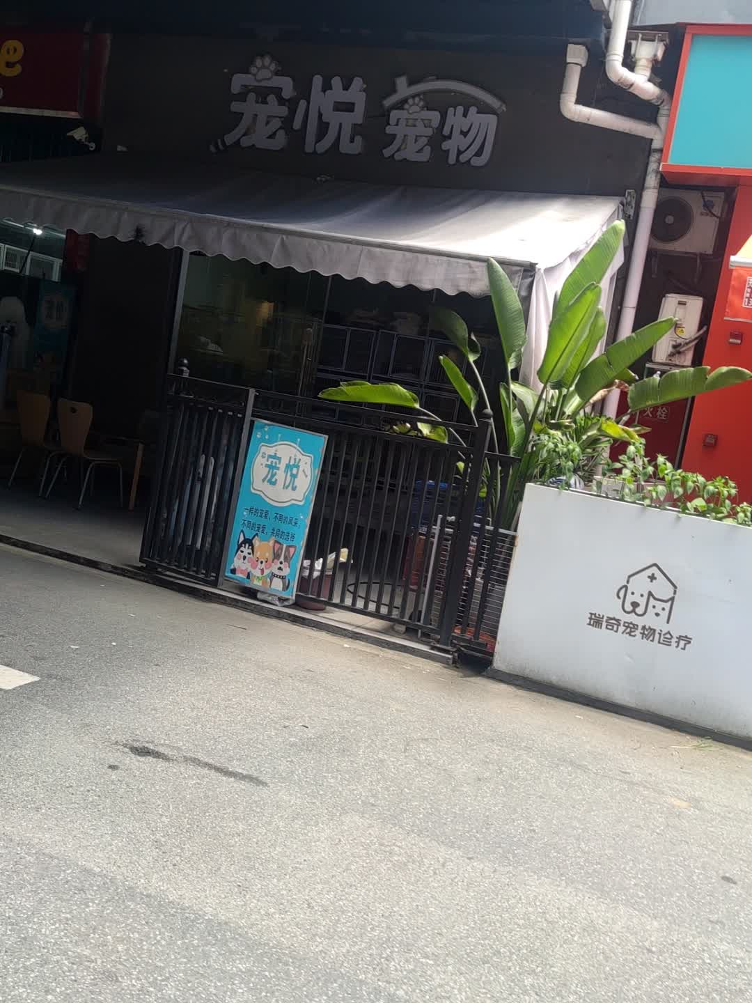 宠悦宠物(攀枝花东区万达广场店)