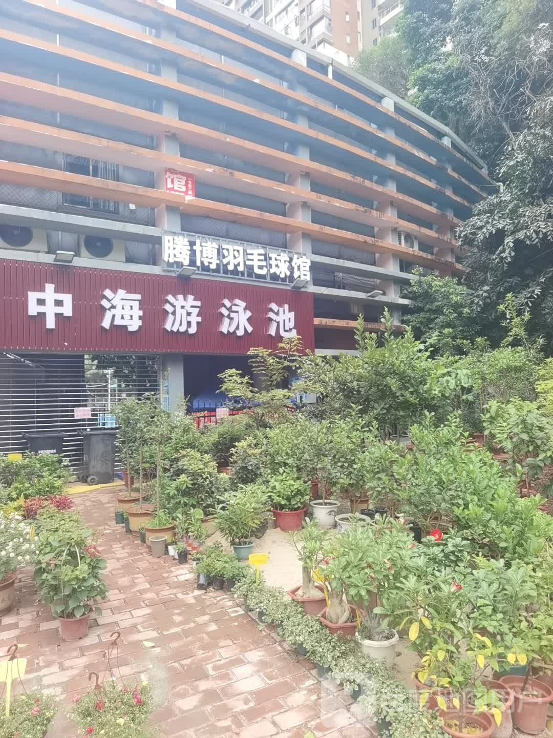 中海邮泳池