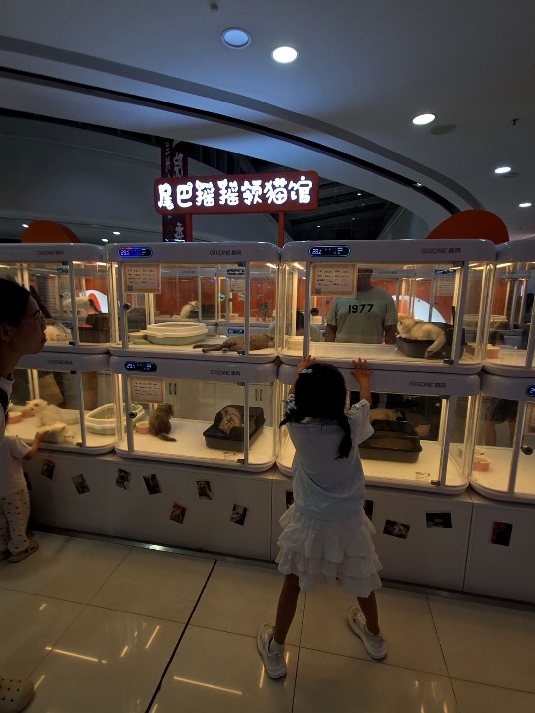 尾巴摇摇名猫馆(万达广场江门新会店)