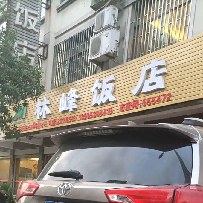 林峰饭店(金东雅苑店)