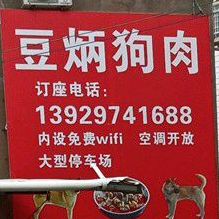 豆炳狗肉