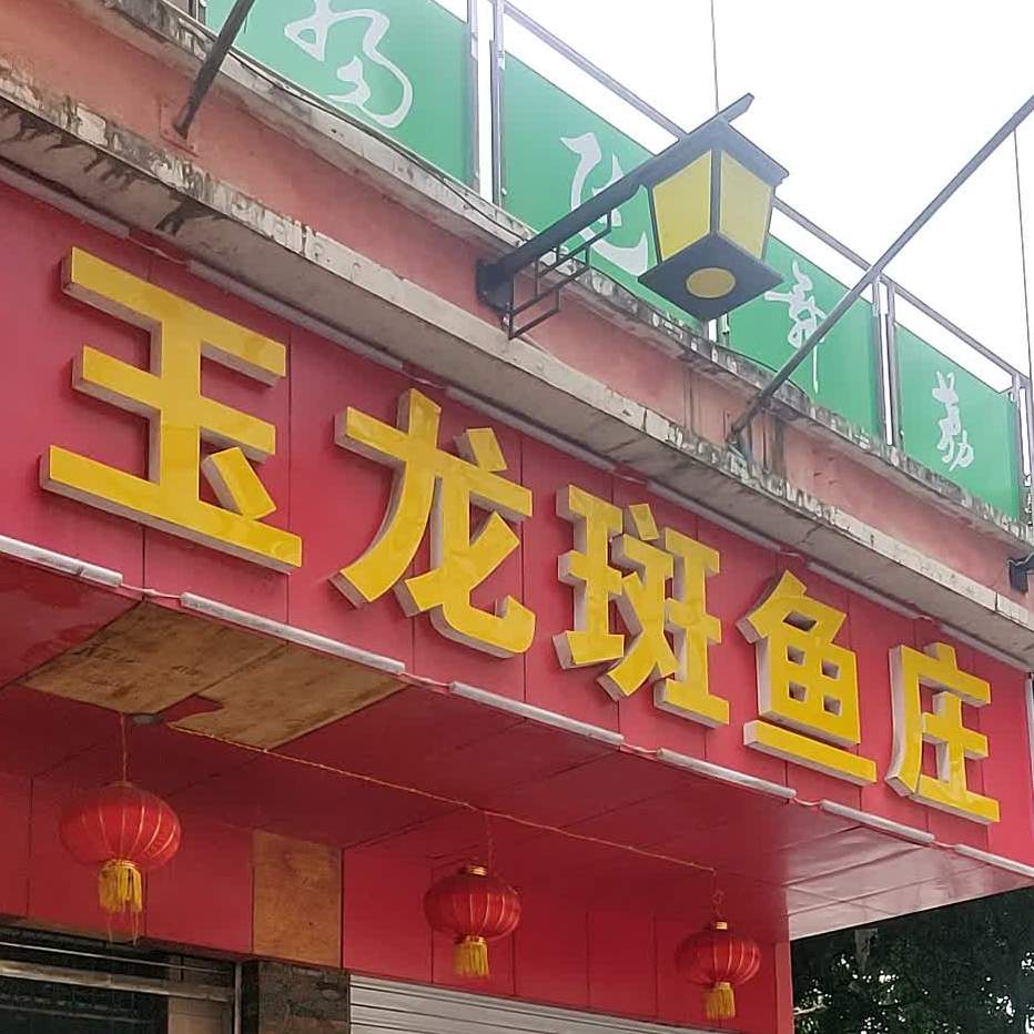 玉龙斑鱼莗(达州店)