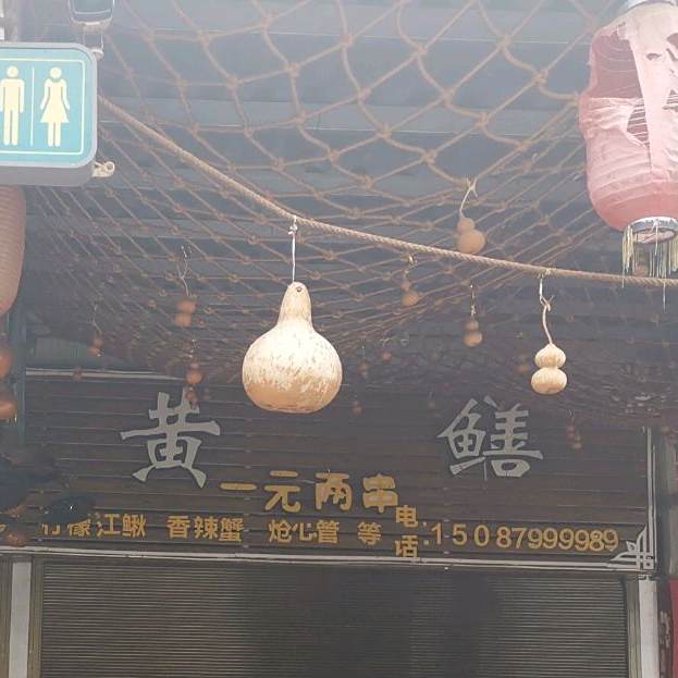 马掌皇鳝
