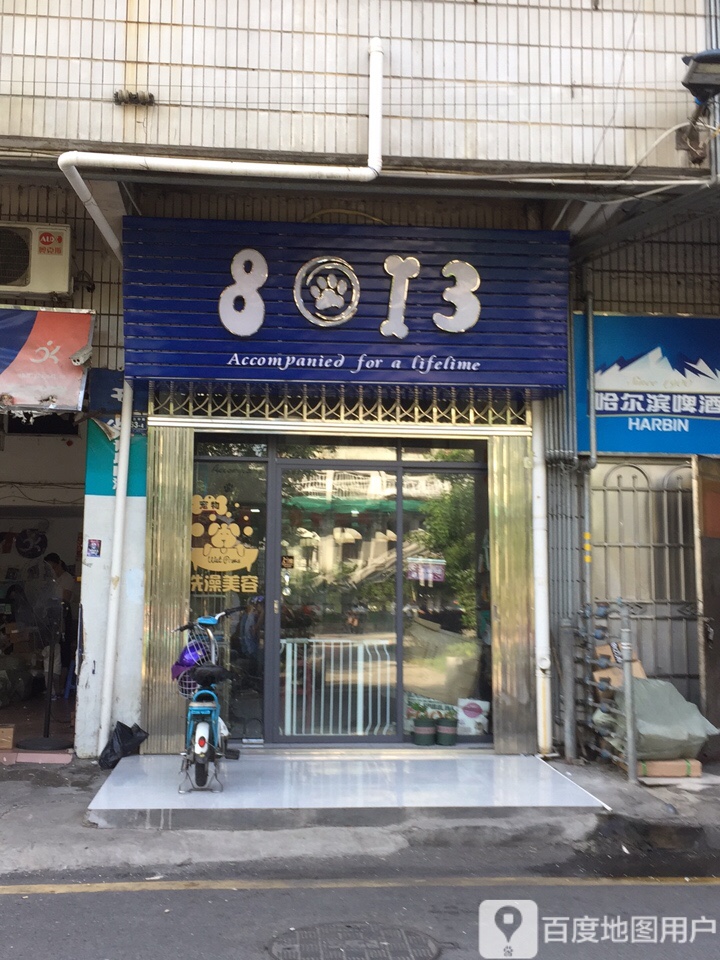 8013宠物店店