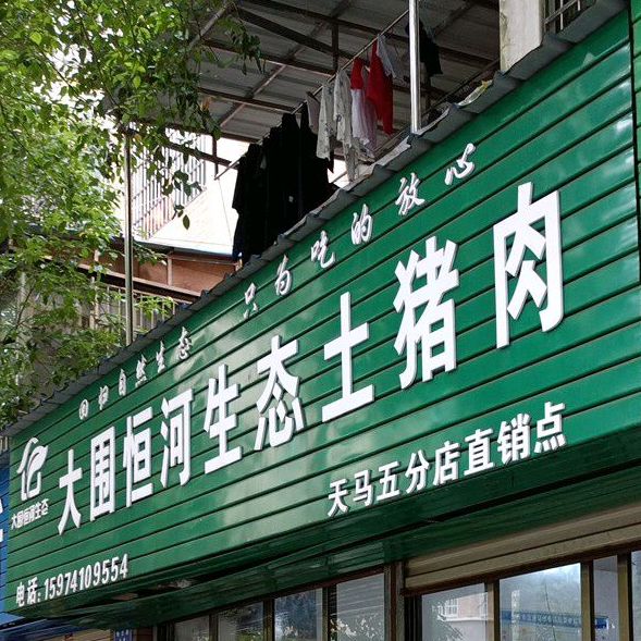 大围恒河生态土猪肉天马五分店直销点
