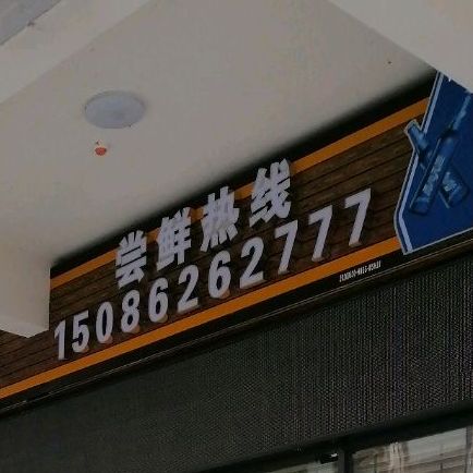 崔皖鱼府