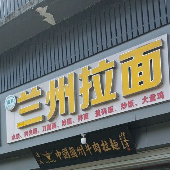 清真兰州拉面(工程学院店)