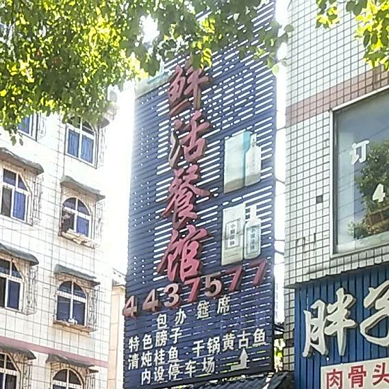 鲜活参观