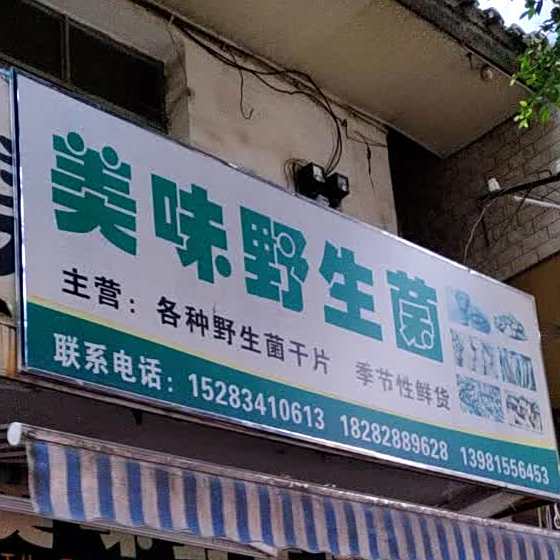 美味野生菌