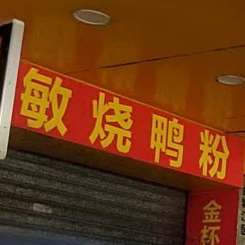 武敏烧录(总店)