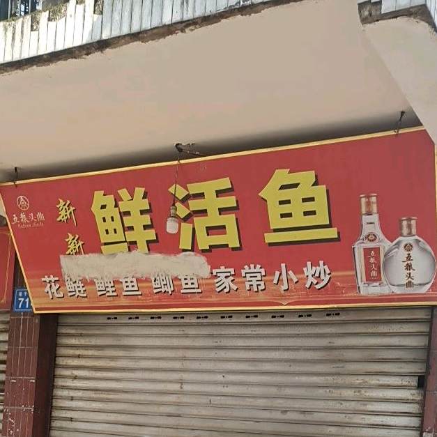 新新鲜鱼活