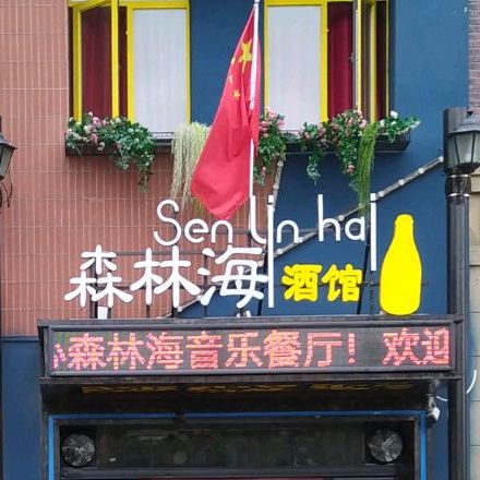 森林海音乐餐厅(华东交大店)
