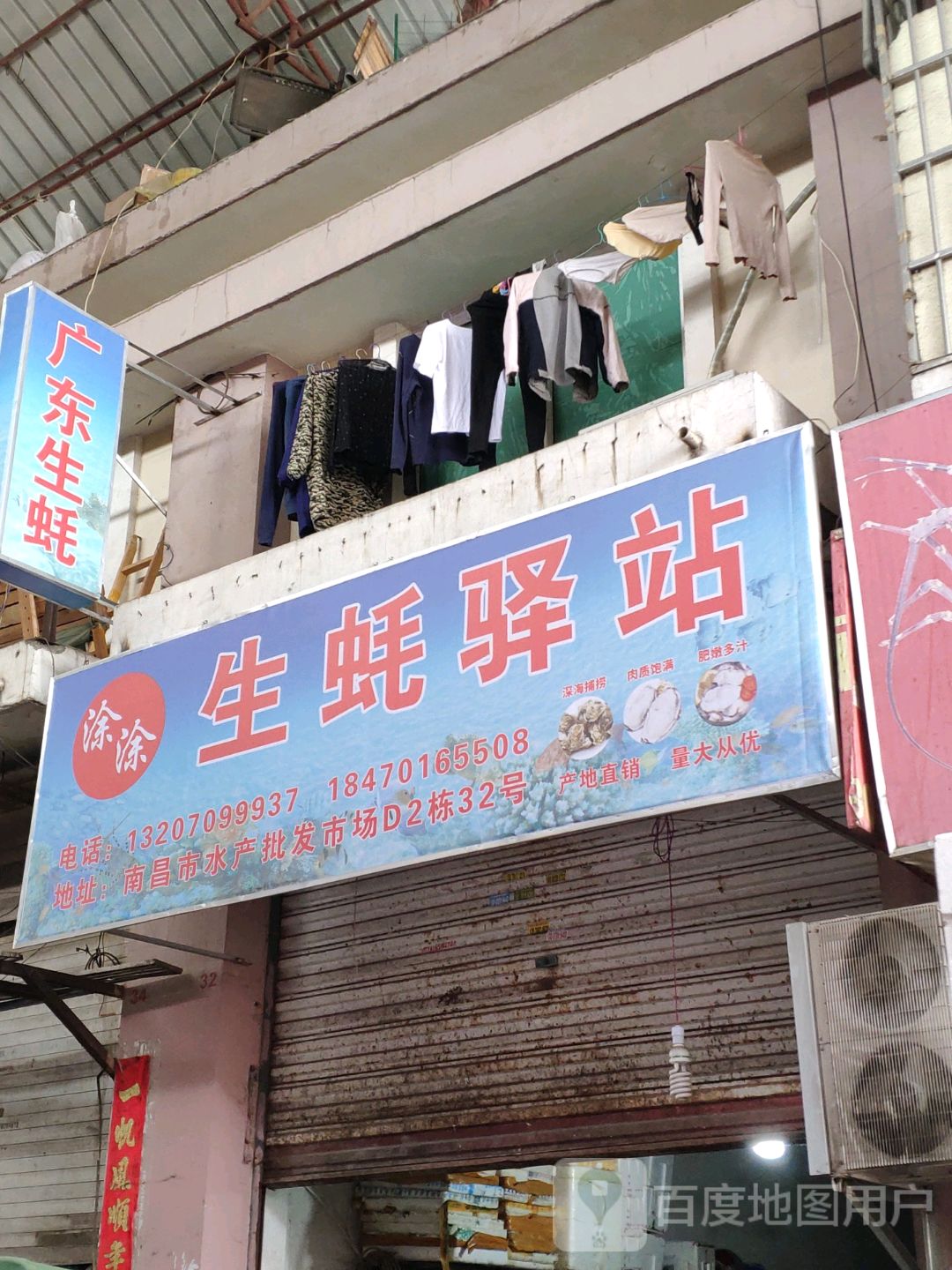 广东蚝批