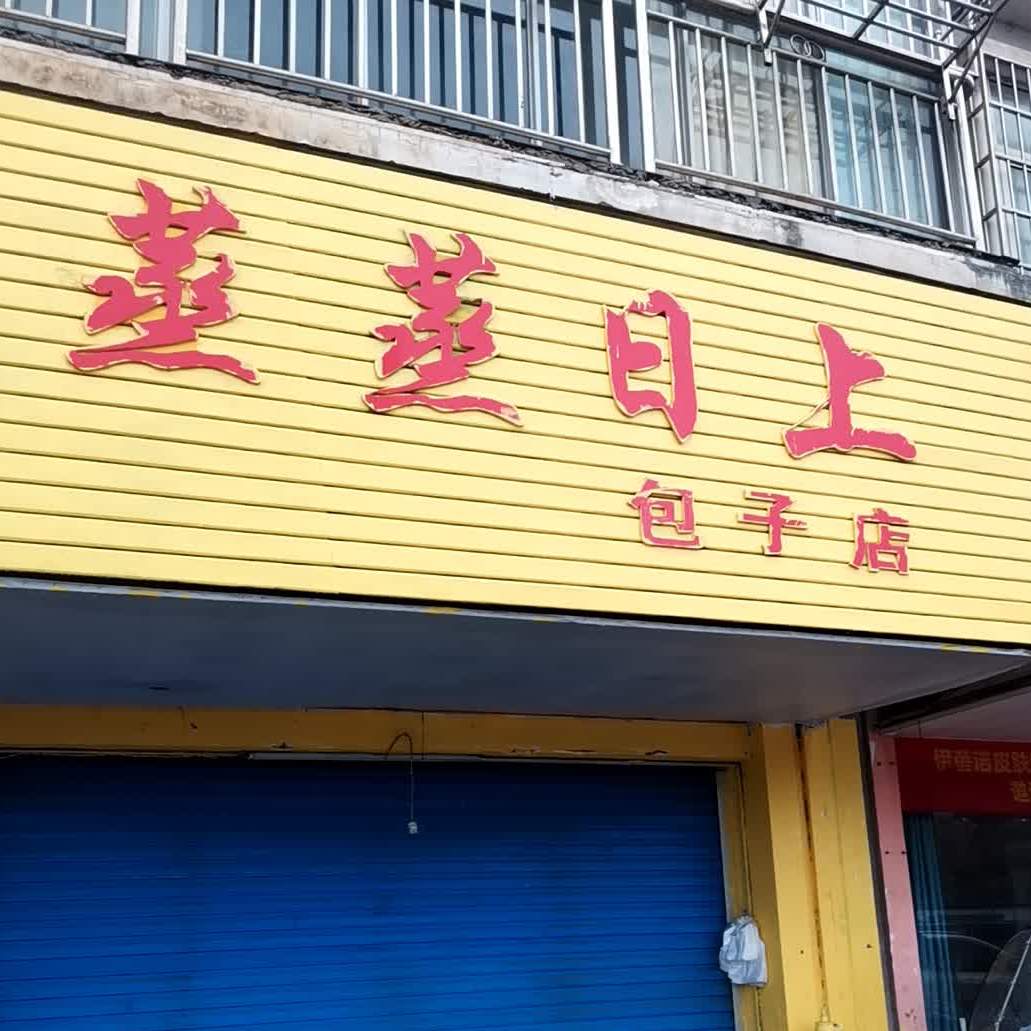 蒸蒸日上包子店