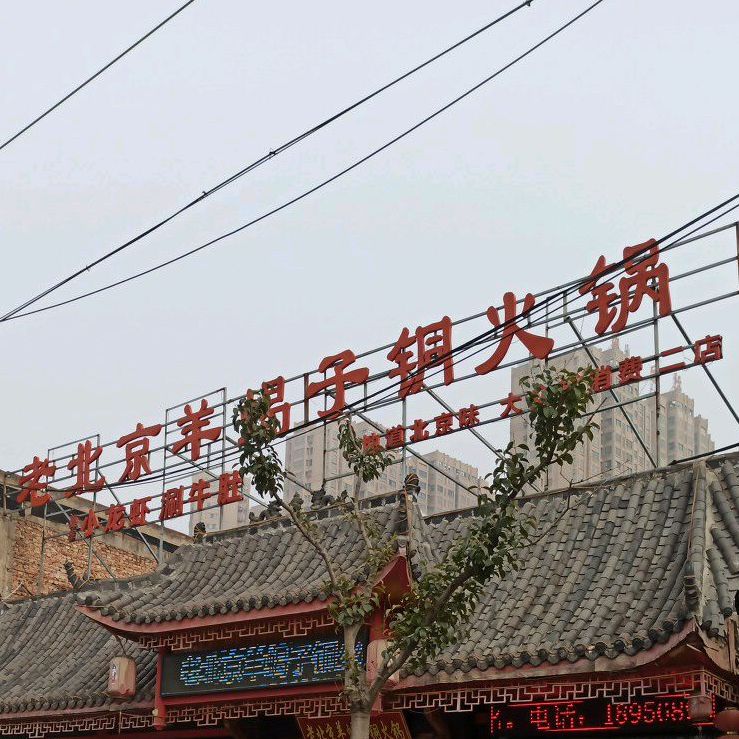 老北京羊李子铜火锅(三曹路店)